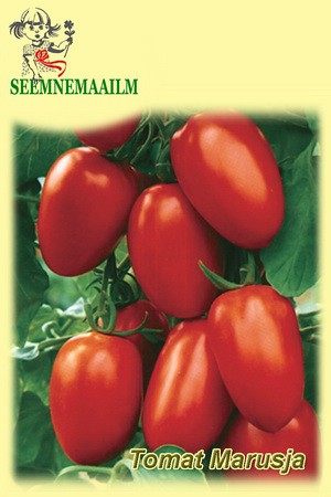 Marusja = Marutschka? - 2017 NE