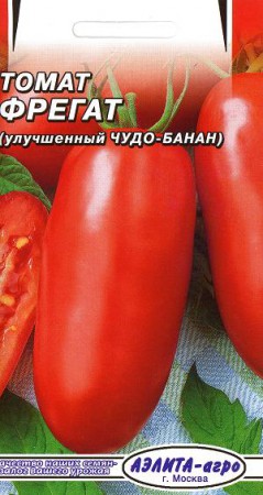 Fregat (ФРЕГАТ) - 2017 ANO