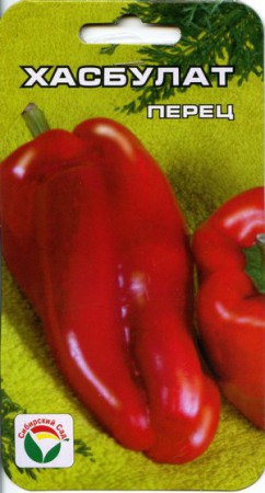 Chasbulat (ХАСБУЛАТ) - 2017 ANO