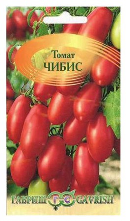 Čibis (ЧИБИС) - 2016 NE