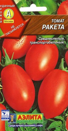 Raketa (РАКЕТА) - 2016 NE